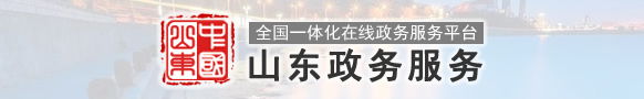 山东省政务服务